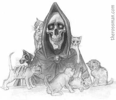 death and cats