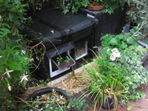 cat-shelter-black