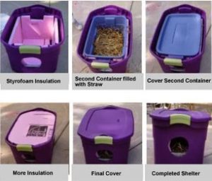 cat-shelter-purple