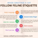 Cat Etiquette…
