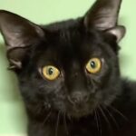 Beautiful Like Me….