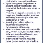 Getting to know you…