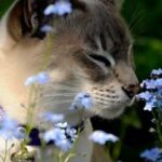 Caught A Lite Sneeze…